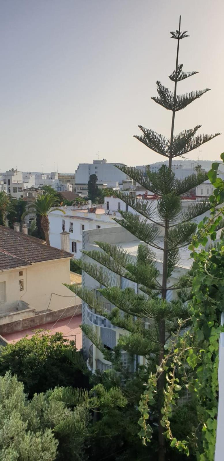 Guesthouse Kasbah Old Medina Tanger Exterior photo